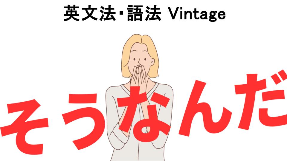 意味ないと思う人におすすめ！英文法・語法 Vintageの代わり